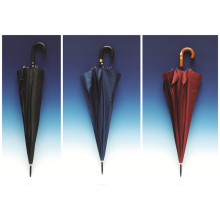 Auto Open Pure Farbe Pongee Straight Umbrella (SK-001)